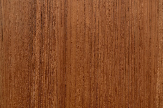 Textura de madeira de carvalho, fundo marrom com espaço de design