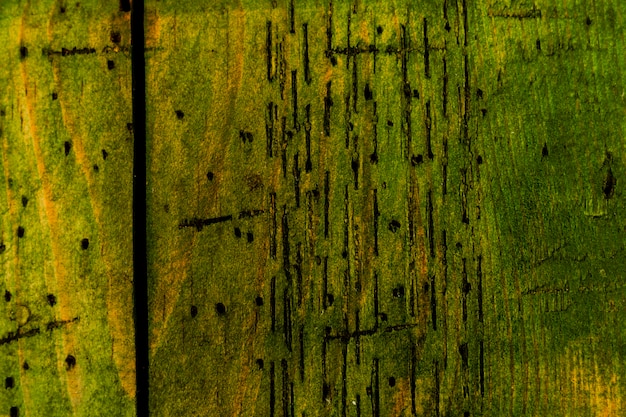 Textura de madeira velha verde fundo e cópia espaço