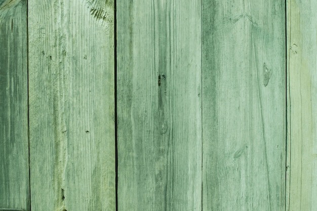 textura de madeira verde