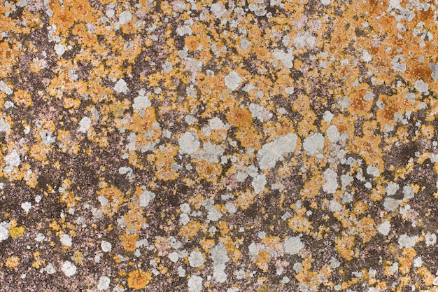 textura de pedra