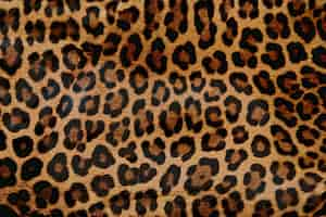 Foto grátis textura de pele padrão de leopardo