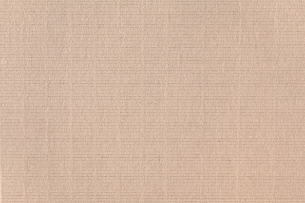 textura do papel de parede bege