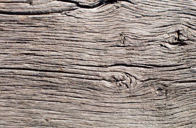 Textura quente de madeira