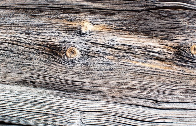 Textura quente de madeira