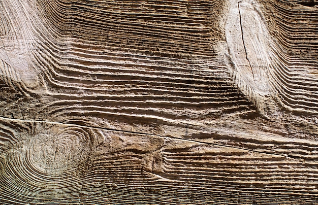 Textura quente de madeira