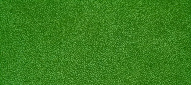 Textura verde de couro