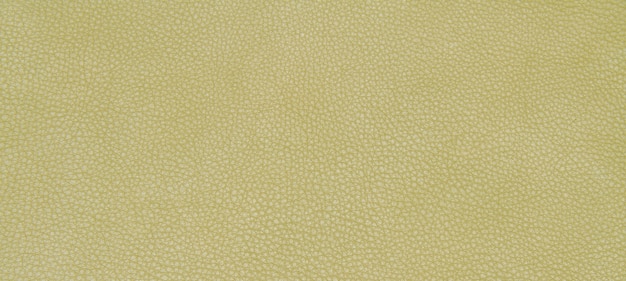 Textura verde de couro