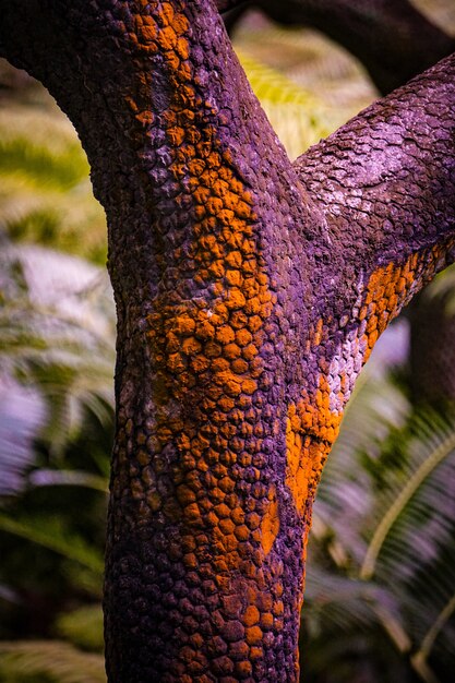 Tiro abstrato vertical de um pedaço de madeira com cores laranja e roxas no fundo desfocado