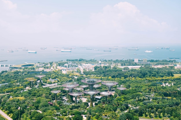 Tiro bonito da vista aérea do jardim pela baía em Singapura