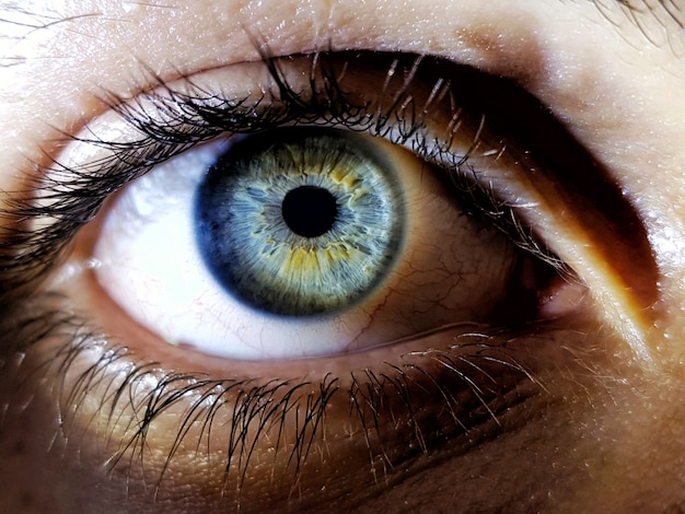 Tiro bonito do close up dos olhos azuis profundos de um ser humano