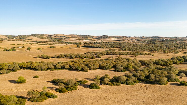 Foto grátis tiro da bela planície e floresta tirada por drone
