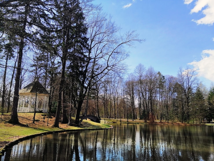 Foto grátis tiro das árvores e um caramanchão na margem do lago em jelenia góra, polônia.