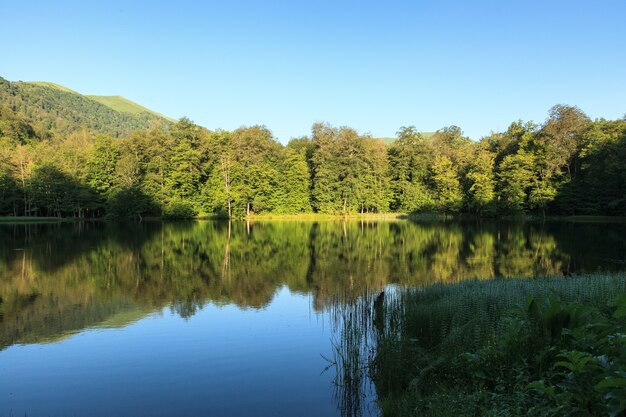 Tiro de alto ângulo bonito do cenário verde refletindo no lago Gosh, Armênia