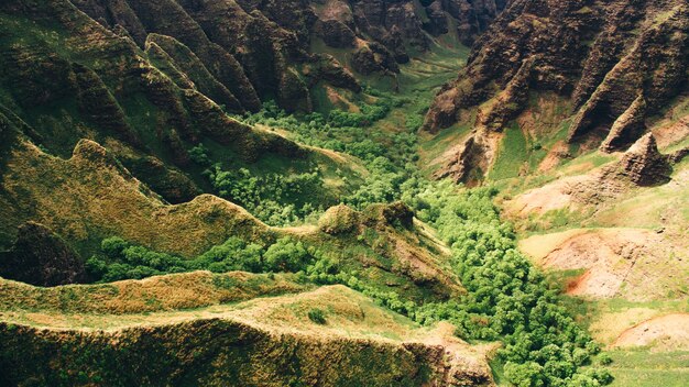 Tiro de alto ângulo bonito dos penhascos da montanha e árvores capturadas em Kauai, Havaí