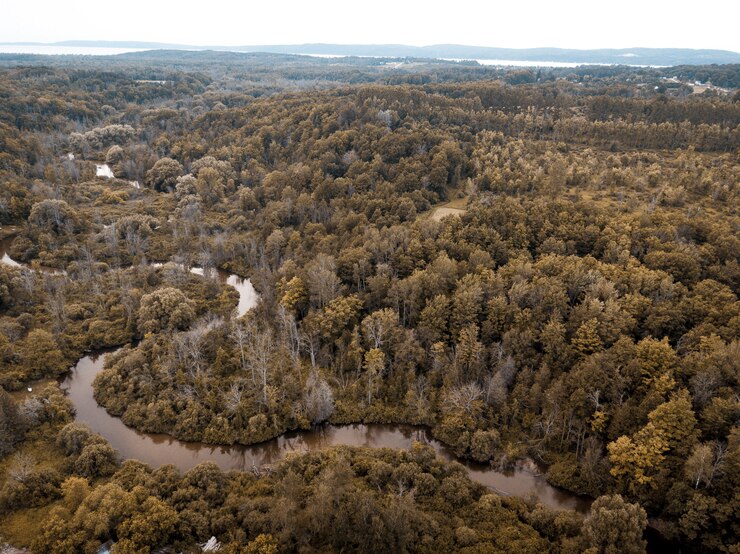 Foto grátis tiro de ângulo alto de um rio no meio de uma floresta com árvores de folhas marrons