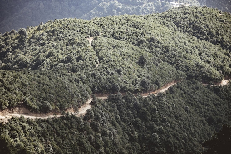 Foto grátis tiro de ângulo alto de uma estrada ao lado de uma montanha arborizada