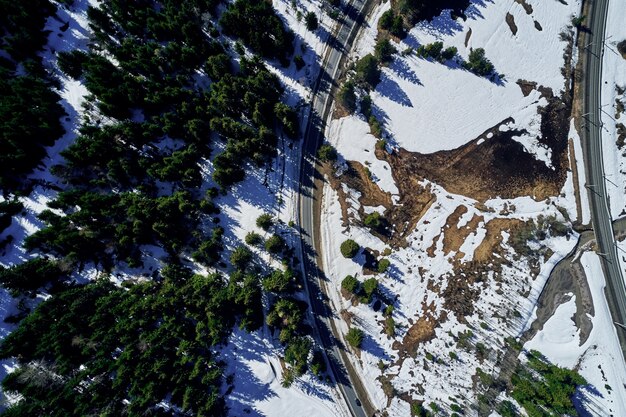 Tiro de ângulo alto de uma estrada em uma bela floresta de abetos no inverno com neve cobrindo o chão