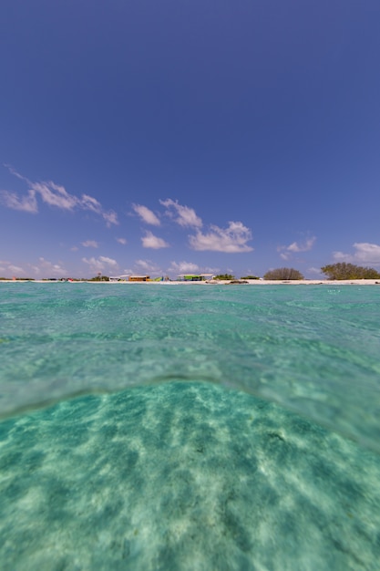 Tiro de ângulo baixo vertical do oceano em Bonaire, Caribe