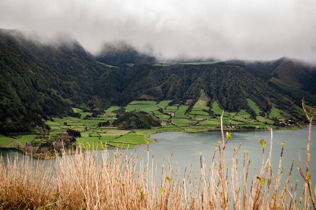 Tiro de longo alcance de um campo de grama perto de montanhas arborizadas no nevoeiro perto do mar