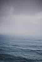 Foto grátis tiro do oceano em um dia nebuloso