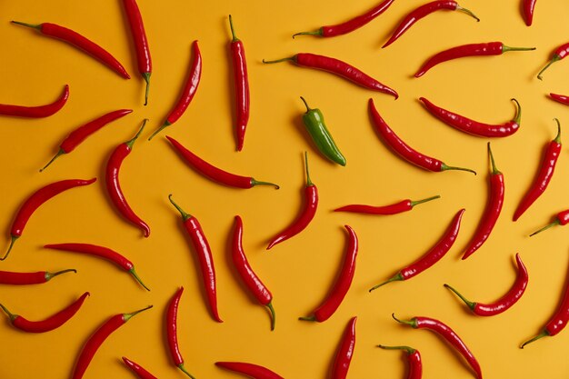 Tiro horizontal acima da seleção de pimenta vermelha quente e um verde isolado no fundo amarelo. Legumes frescos para cozinhar o jantar. Conceito de aromatização e tempero. Colheita rica