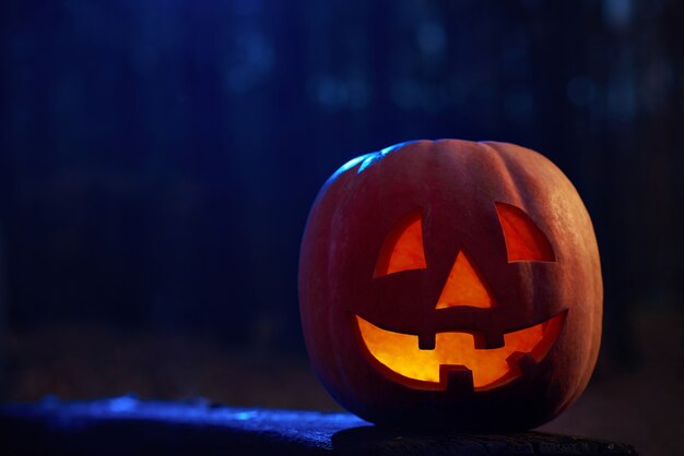 Tiro horizontal de uma abóbora lanterna de Halloween de cabeça de jack na escuridão de uma vela misteriosa floresta de outono queimando dentro de copyspace.
