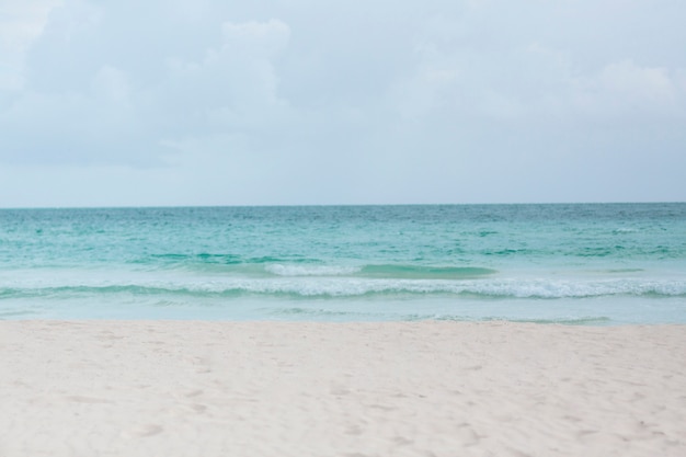 Tiro longo, de, tropicais, praia arenosa