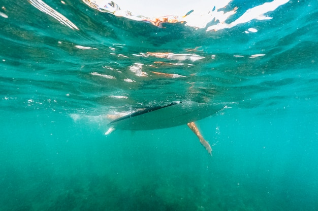 Tiro subaquático de mulher com prancha de surf