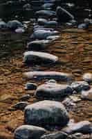 Foto grátis tiro vertical da pedra no meio de um riacho de água