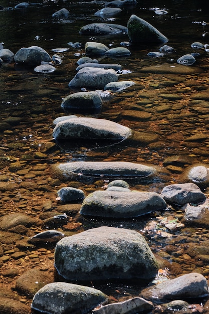 Tiro vertical da pedra no meio de um riacho de água