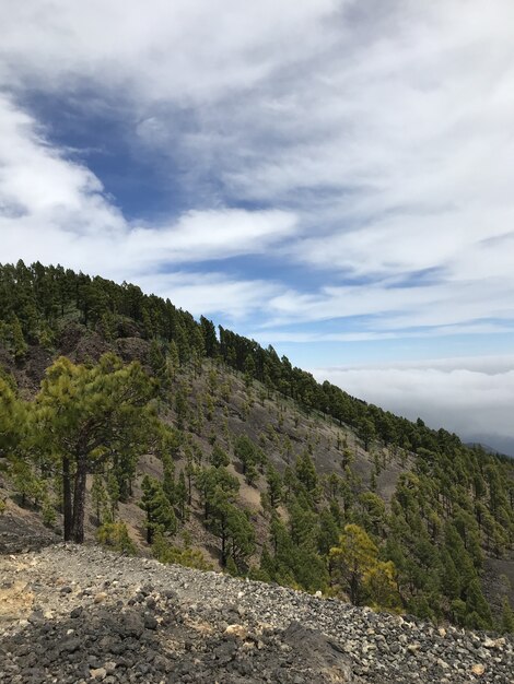 Tiro vertical das montanhas cobertas por árvores verdes, sob um céu azul com nuvens