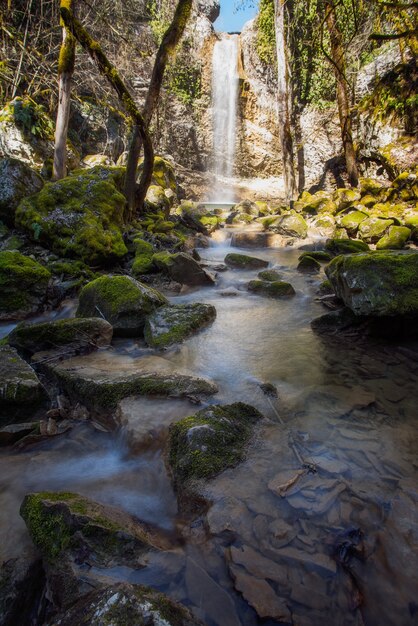 Tiro vertical de pedras cobertas de musgo em um lago sob a cachoeira Butori em Ístria, Croácia