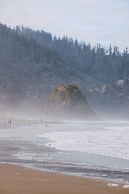 Tiro vertical de Proposta Rock, Oregon em um dia de neblina