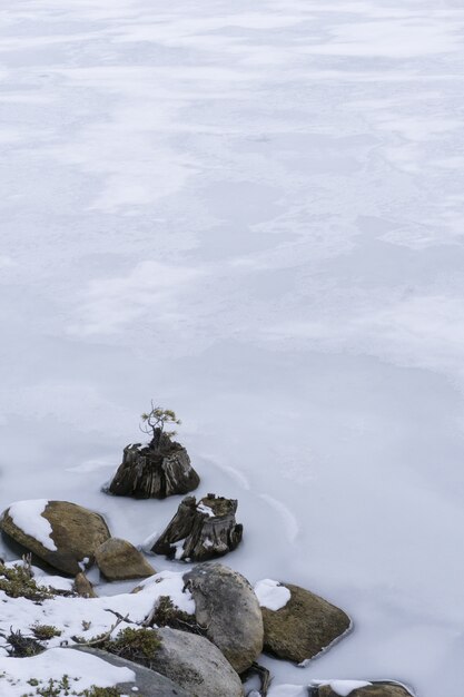 Tiro vertical de rochas nevadas na água congelada