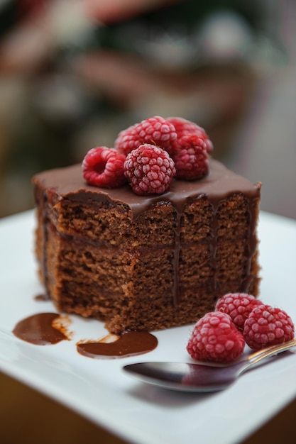 Tiro vertical de um bolo de chocolate com decorações de framboesa servido em um prato branco