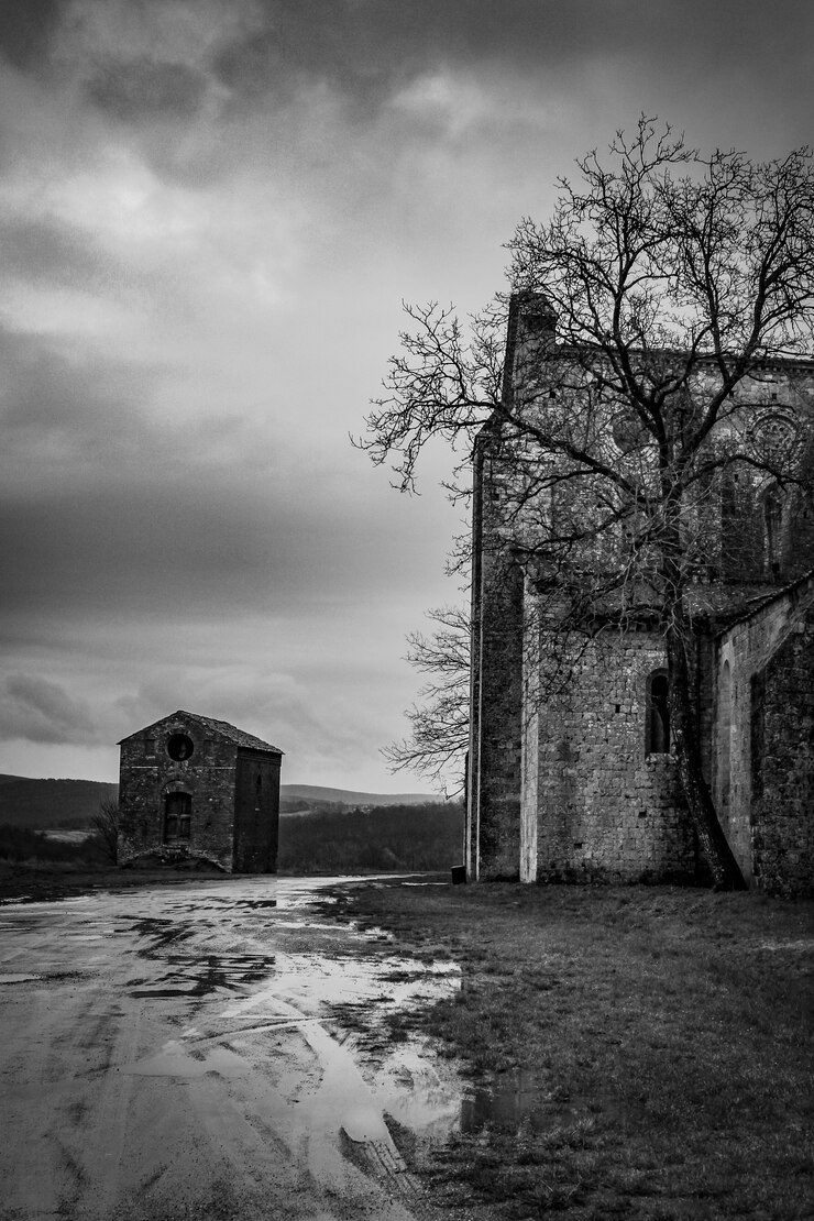 Foto grátis tiro vertical de um caminho perto de uma casa grande com uma árvore na frente e um edifício à distância