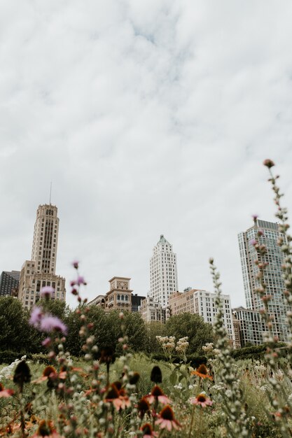 Tiro vertical de um campo gramado cheio de flores em Chicago com arranha-céus visíveis à distância