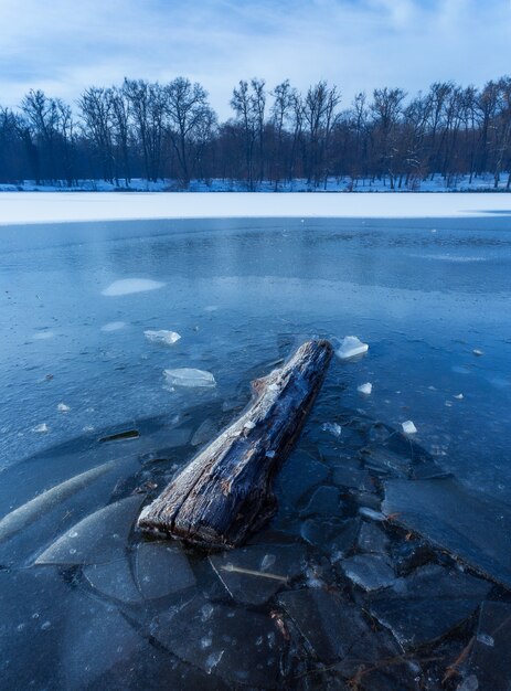 Tiro vertical de um pedaço de madeira no lago congelado em Maksimir, Zagreb, Croácia