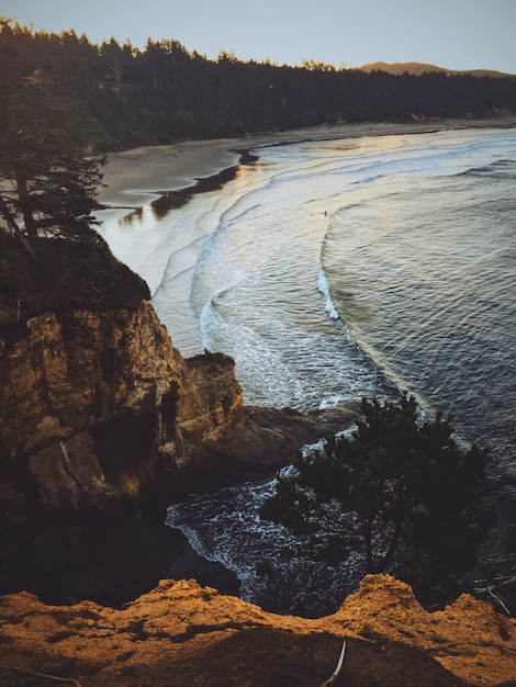 Tiro vertical de um penhasco perto de um mar com a floresta ao seu redor