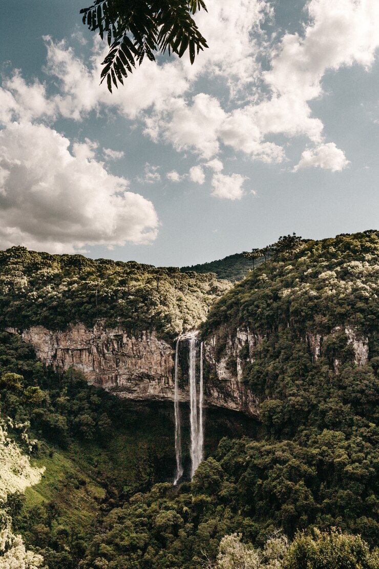 Foto grátis tiro vertical de uma cachoeira que flui de um penhasco alto coberto de árvores verdes