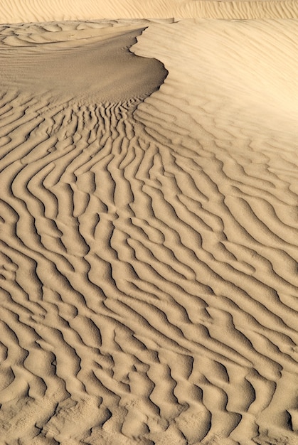 Tiro vertical de uma textura de onda de areia no deserto. lindo papel de parede