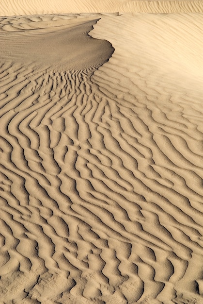 Tiro vertical de uma textura de onda de areia no deserto. Lindo papel de parede