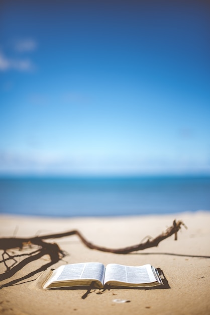 Foto grátis tiro vertical do close up de uma bíblia aberta em uma costa da praia no dia