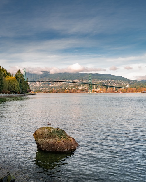 Tiro vertical do lago no Stanley Park, em Vancouver, com vista para a ponte Lions Gate