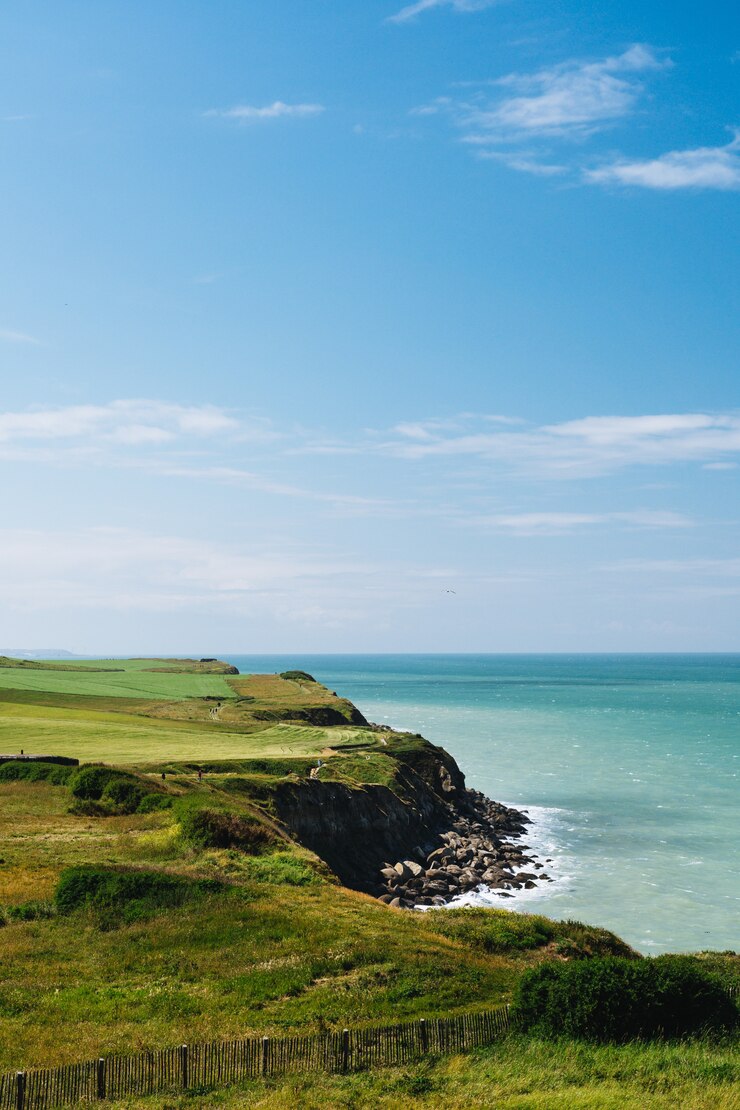 Foto grátis tiro vertical do penhasco com um campo gramado perto do mar sob um céu azul durante o dia na frança