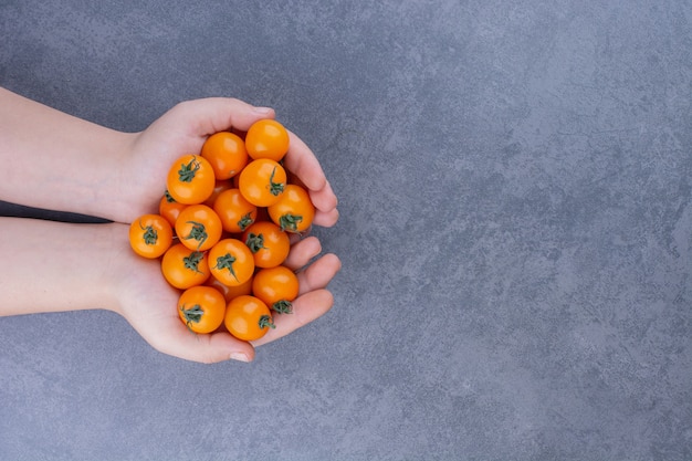 Tomate cereja amarelo isolado na superfície azul