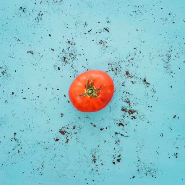 Foto grátis tomate em fundo sujo