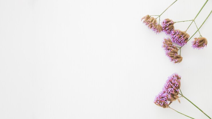 Foto grátis top vie wo composto de galhos em flor