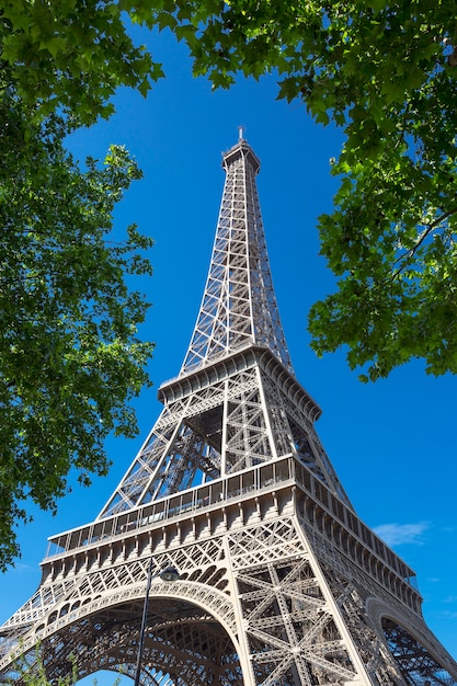 Torre Eifel com árvore no céu azul, Paris.