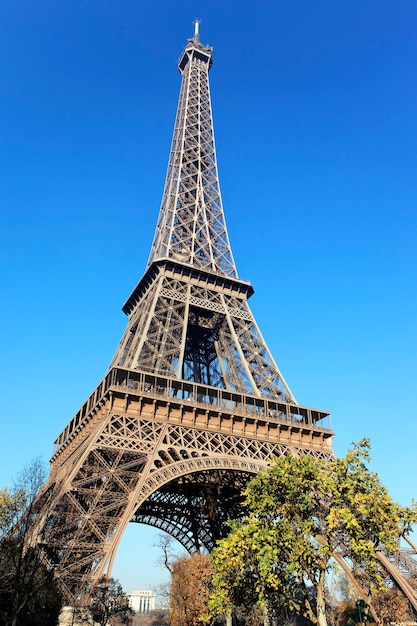 Torre Eiffel famosa e árvores em Paris